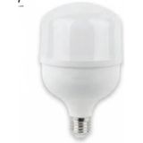 Kendal GES232 Endüstriyel Torch (Mısır) LED Ampul 40W Günışığı (Global Voltaj) - Standart
