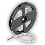 Kendal KCL002 12V Silikonlu Şerit LED Mavi Işık (60 Led/m, 3528 Çip, IP65)