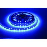Kendal Kcl005 Mavi Led Şerit 10 MT