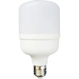 Kendal KES134 Endüstriyel LED Ampul 60W Ara Renk (Geniş Voltaj Aralıklı)
