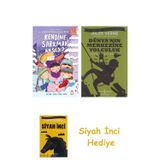 Kendine Sarılmak Nasıldı? Psikoloji Kitaplığı + Dünyanın Merkezine Yolculuk + Siyah İnci Hediye