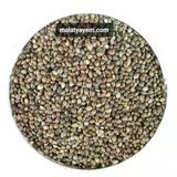 Kendir - Kuş Yemi 2 Kg