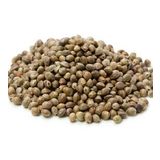 Kenevir Tohumu 1 kg