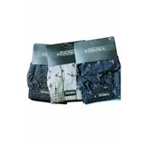 Kenpaul Poplin Boxer