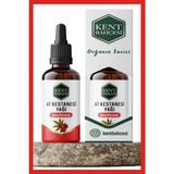 Kent Bahçesi Hediyeli At Kestanesi Yağı 100 ml Soğuk Sıkım Cold Press Horse Chestnut Oil