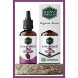 Kent Bahçesi Üzüm Çekirdeği Yağı 30 ml - Hafif Cilt Bakım Yağı