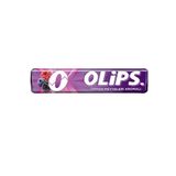Kent Olips 28 gr Orman Meyveleri Aromalı Şeker