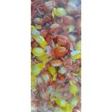 Kent Olips C Vitaminli Bayram Şekeri 500 G - 0,5 kg