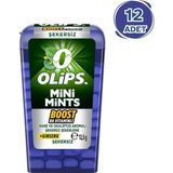 Kent Olips Mini Mints Nane Ginseng 12.5 G - 12 Adet