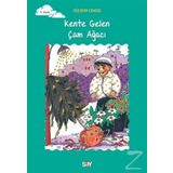 Kente Gelen Çam Ağacı Tomurcuk Kitaplar 4 - Gülsüm Cengiz