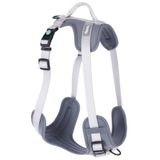 KERBL Y Tipi Spor Köpek Göğüs Tasması 25 mm (50-85 / 75-100 cm) - Fitty Serisi - L
