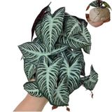 KERUIDENG Sürüngen Bitkileri, Teraryum Dekoru, Amfibi Habitat Dekoru, Gecko Bukalemun Yılan Kaplumbağa Tankı Aksesuarları için Yapay Bitkiler (Xanthosoma sagittifolium)