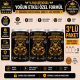 Kervancıoğlu Kuvvet Macunu Bitkisel Atom Güç Enerji ve Performans Desteği (45 gr x 3 Şişe) - 3 Adet
