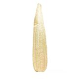 Kese Hamam Kesesi Kabak Lifi 60 70 Cm Ham Kabak Kesesi Işlenmemiş Kabak Lif
