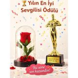 Kesene Sevgililer Gününe Romantik Hediye Yılın En İyi Sevgilisi Oscar Biblo ve Işıklı Mika Fanus Gül Seti