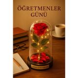 Kesene Sevgiliye Eşe Öğretmenler Gününe Anlam Katan Özel Fanusta Led Işıklı Canım Öğretmenim Hediye Biblosu