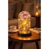 Kesene Sevgiliye Özel Günlere Dekoratf Hediye Mika Fanus Içinde Solmayan LED Işıklı Hologram Sonsuz Gül mor - Çok Renkli