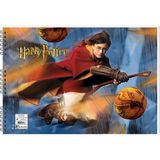 Keskin 300315-07 35X50 15YP Hary Potter Resim Defteri - Çok Renkli - Standart