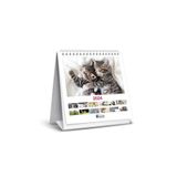 Keskin Color 820802-99 2024 Kediler Kare Masa Takvimi