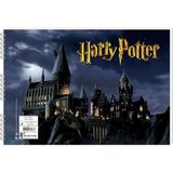 Keskin Color Harry Potter 25x35cm 15 Yapraklı Spiralli Resim Defteri / 300215-