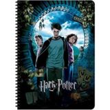 Keskin Color Harry Potter Not Defteri 80 Yaprak Çizgili Spiralli Orjinal - 4 Adet