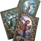 Keskin Color Harry Potter Spiralli Karton Kapak Defter A4 60 Yaprak Kareli (2 Li Paket)