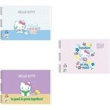 keskin color hello kitty and friends spiralli resim defteri 17x25 15 yaprak 300115-13 (karışık renk 1 adet) - Yok