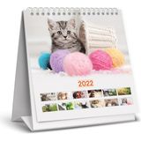 Keskin Color Keskin 15X15 cm Kare 2022 Üçgen Masa Takvimi 820801 Kediler - Renkli