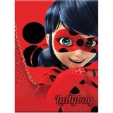 Keskin Color Lady Bug A5 40 Yaprak Çizgili Pp Kapak 60 gr 12'li Dikişli Defter