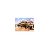 Keskin Color Puzzle 48X68cm 1000 Parça Sultanahmet