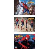 Keskin Color Spider 15 Yaprak Resim Defteri 25 x 35 cm 3'lü Resim Defteri