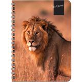 Keskin Color Süha Derbent Çizgili Defter 17x24 cm 120 Yaprak 326811-99