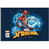 Keskin - Spider 17*25 15 Yp.resim Defteri