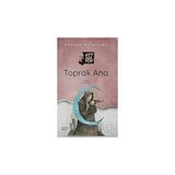Ketebe Yayınları Toprak Ana + Redhouse Deyim Kartları 3