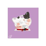 Keyf Kedi Boyun Tasması Lastikli 1.2 Cm Genişlik*30 Cm Boy Zilli AFS0119928