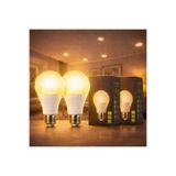 kialed 2'li 12W LED Ampul – 3200K Günışığı (Sıcak Işık)