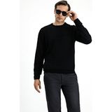Kiğılı Siyah Bisiklet Yaka Regular Fit Erkek Triko Kazak Casual Stil Desenli