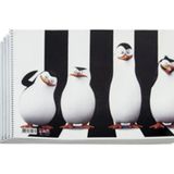 KİKA Resim Defteri 5 Adet 25X35 - Tabaka Kağıtlar