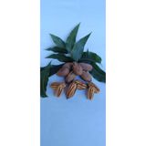 KILIÇ ANAMUR Kabuklu Pikan Cevizi 1kg