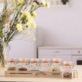 Kilner Klipsli Baharat Kavanozu Seti - Şeffaf