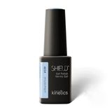 Kinetics Top Magnet 539 Shield Gel Polish 15 ml Kalıcı Oje