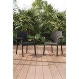 King 2'li Rattan Sandalye Kahve