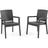 King 2'li Rattan Sandalye Siyah