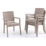 King 4'lü Rattan Sandalye Cappuccino