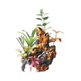 King Akvaryum Dekoru 200-u282 23x20x10.5 Cm Ölçülerinde Akvaryum Dekoru
