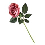 KingLan İskandinav Metal Vazo Cam Hidroponik Bitki Konteyner Süsler Ev Dekorasyonu Aksesuar - #9