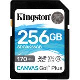 Kingston SDG3 / 256 GB Canvas Go Plus USH-I Hafıza Kartı