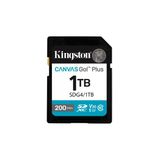Kingston Sdg4-1tb 1tb Sdxc Canvas Go Plus Gen4 200MB-S C10 Uhs-I U3 V30 Hafıza Kartı (Kdo)