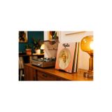 KİOfisi Plak Standı Plaklık LP Plak Tutucu Plak Rafı Metal Modern Dekoratif Plak Kitap Fotoğraf Tutucu