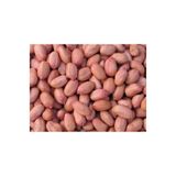 Kipa Kuruyemiş Osmaniye Çiğ Fıstık İçi Duble 1 KG